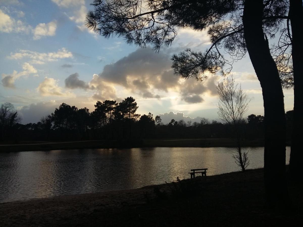 Chambres D'Hotes Du Parc D'Espagne ペサック エクステリア 写真